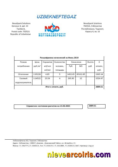 Uzbekistan NeftGaz business utility bill